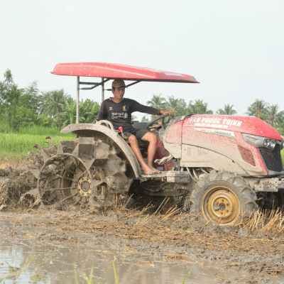 Xử lý rơm rạ trên ruộng lúa